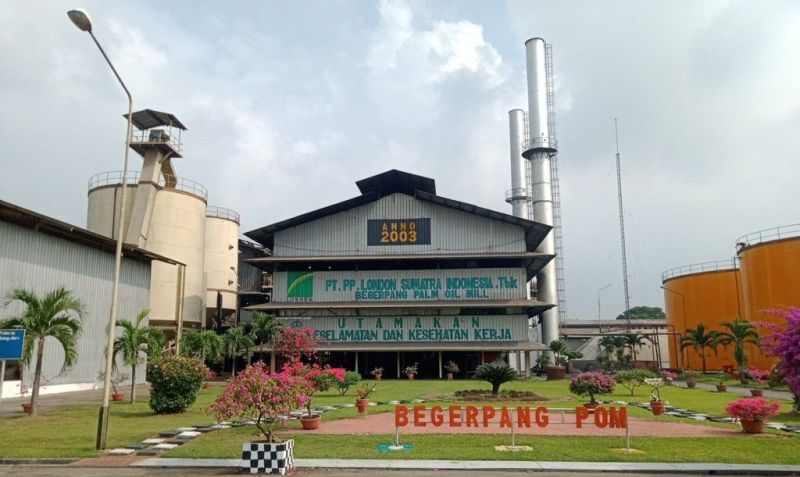 Lonjakan Harga CPO Dorong Laba LSIP Tumbuh 94% di 2024